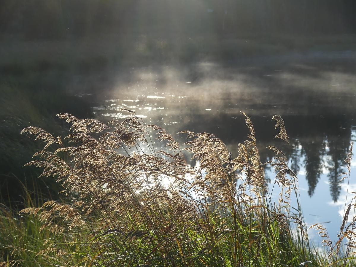 Schott'S Lake Conference & Resort Sundre Zewnętrze zdjęcie